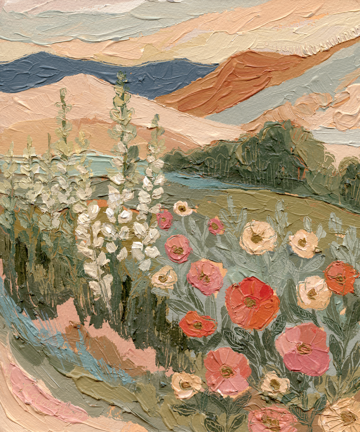 Mountain Poppies