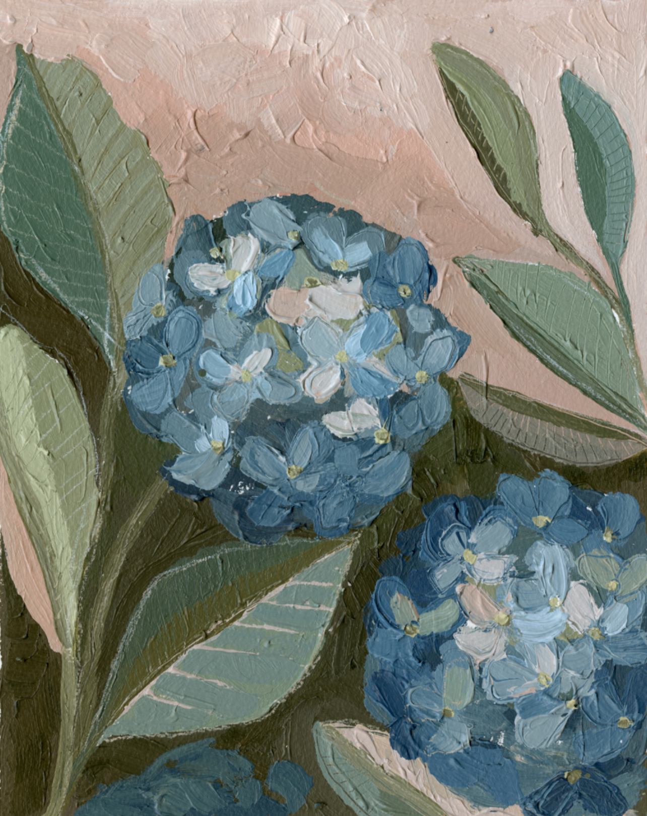 Hydrangeas