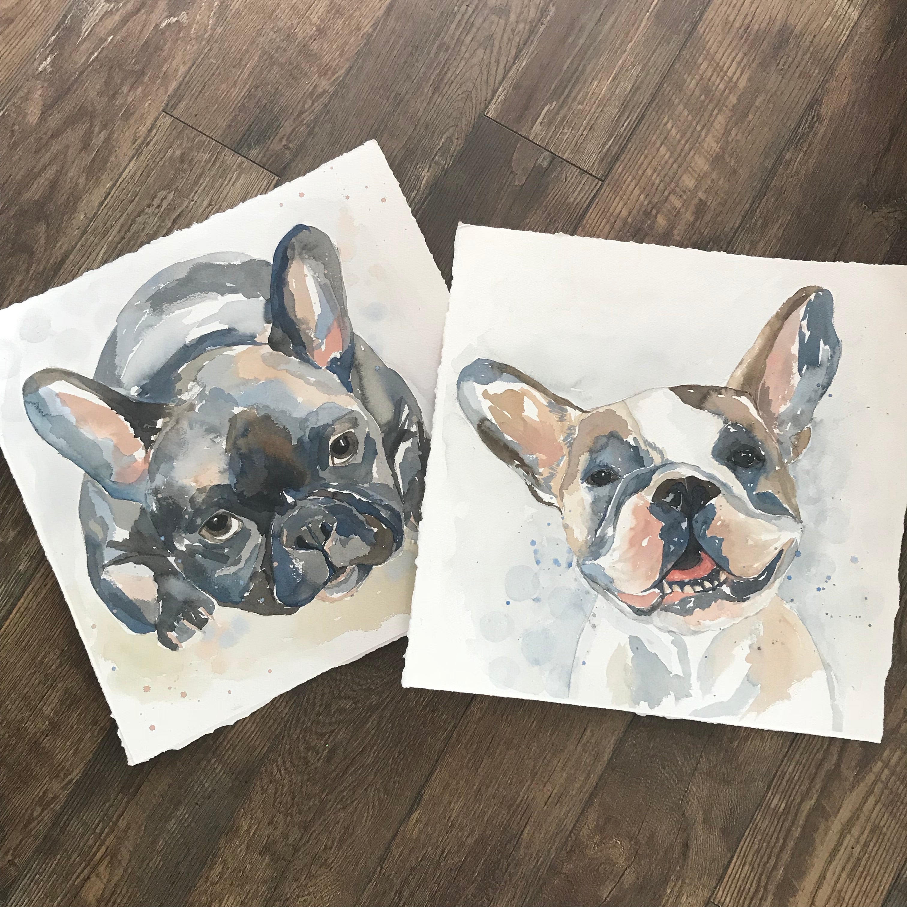 Custom Pet Portrait